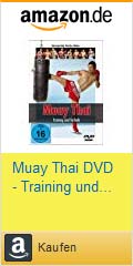 Muay Technik Training